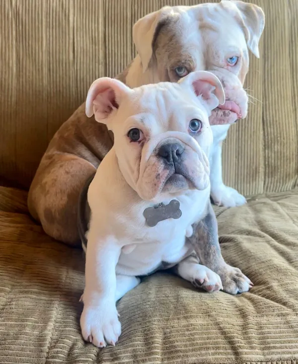 Penelope and Charlotte